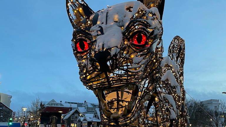 A festive feline: Iceland's terrifying Christmas Yule Cat | Sky
